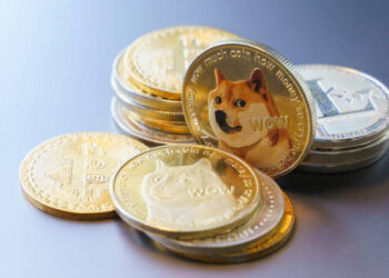 Dogecoin Price Just Broke A Regional High For The First Time This Year, Why A 300% Rally To $1 Is Possible
