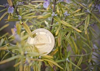 Analyst Sets $5 Target For The Dogecoin Price If This Happens