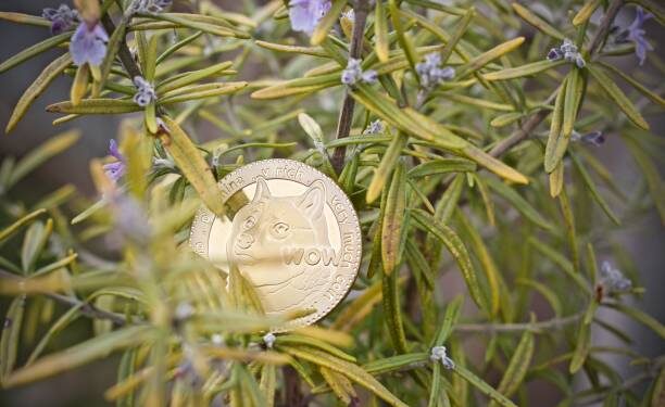 Analyst Sets $5 Target For The Dogecoin Price If This Happens