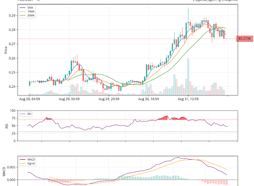 Polygon Approaches Make-Or-Break Point At $0.28 – What Could Happen Next