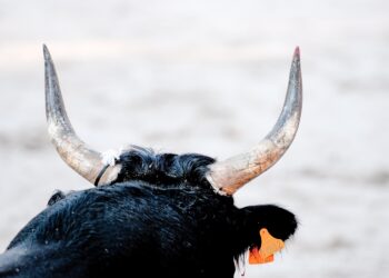 Fed Chair Choice May Be Bitcoin’s Biggest Bull Trigger, CEO Says