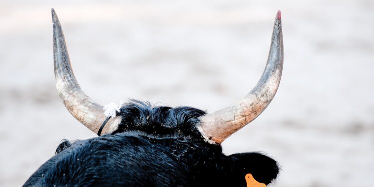 Fed Chair Choice May Be Bitcoin’s Biggest Bull Trigger, CEO Says