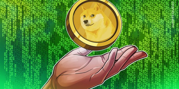 DOGE Price Eyes 160% Rally to $0.65 as RSI Sends Bullish Signal