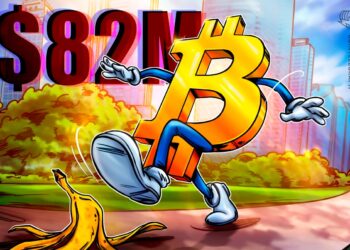 Bitcoin life insurer Meanwhile raises $82M