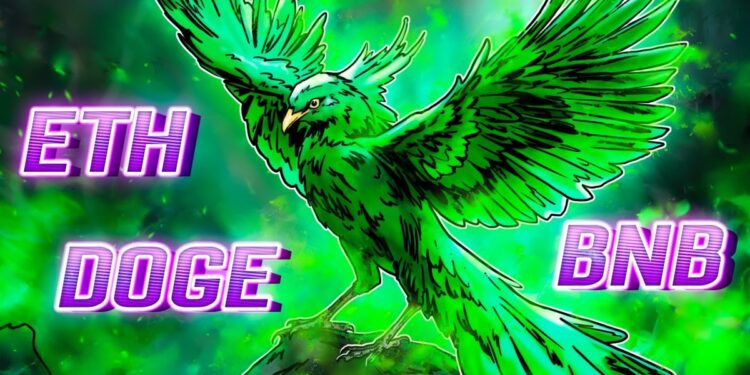 ETH, BNB, DOGE Lead Crypto Market Recovery