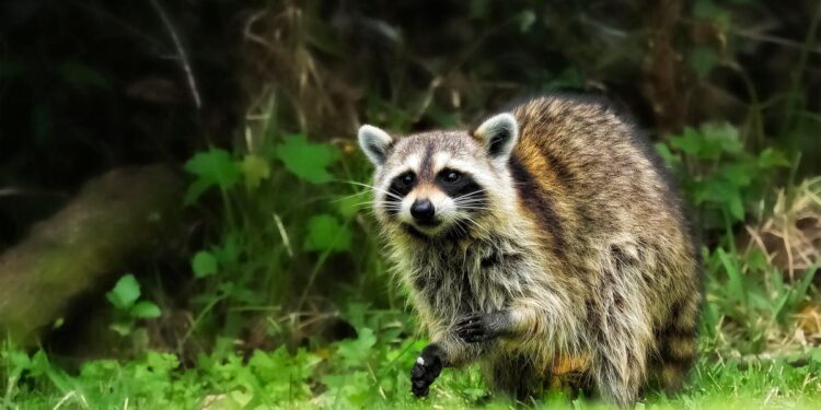 I tested Sora’s new ‘Character Cameo’ feature, and it was borderline disturbing