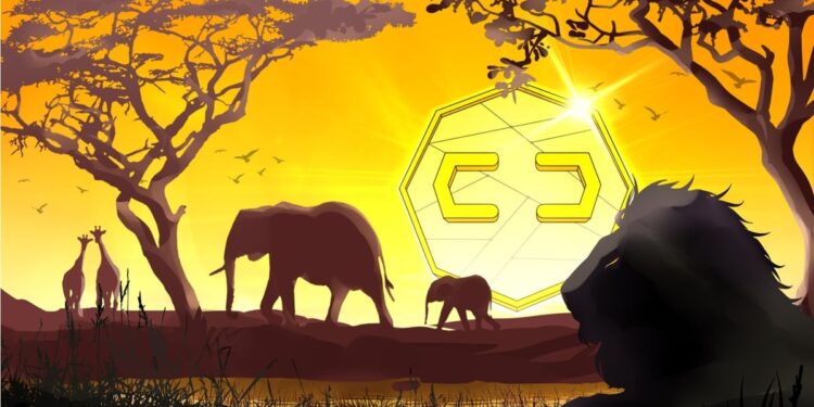 South Africa Central Bank Finds No Urgent Need for CBDC