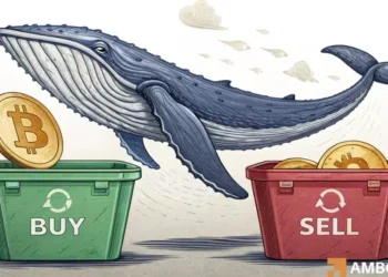 From panic to positioning: How Bitcoin whales are setting up for December