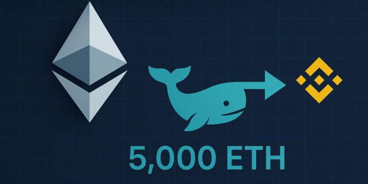 Whale Sends Another 5,000 ETH To Binance